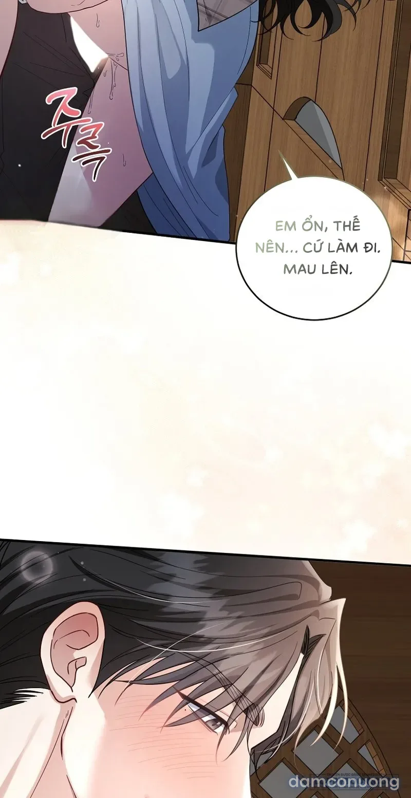 Mùa Xuân Của Shin Yu 