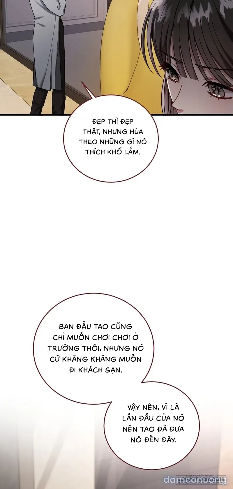 Mùa Xuân Của Shin Yu 