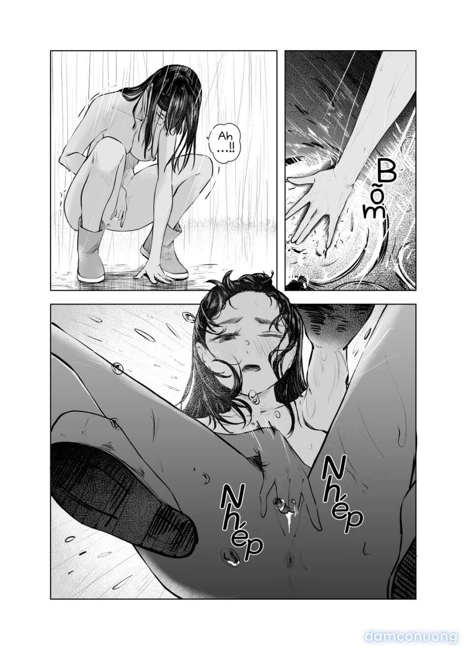 Từ Mùa Nắng Ấy 