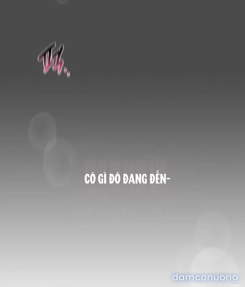 Tình cảm của tôi với chị kế 