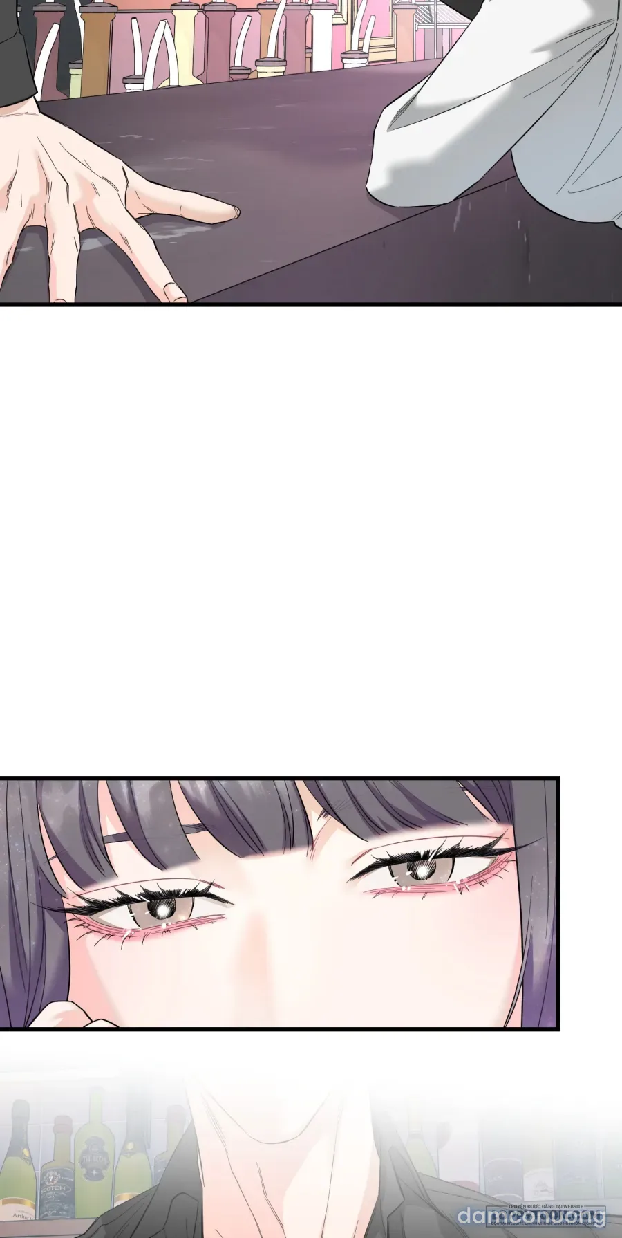 Tình Một Đêm 