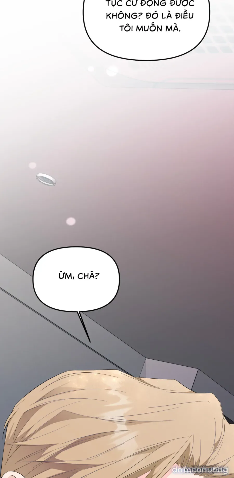 Tình Một Đêm 