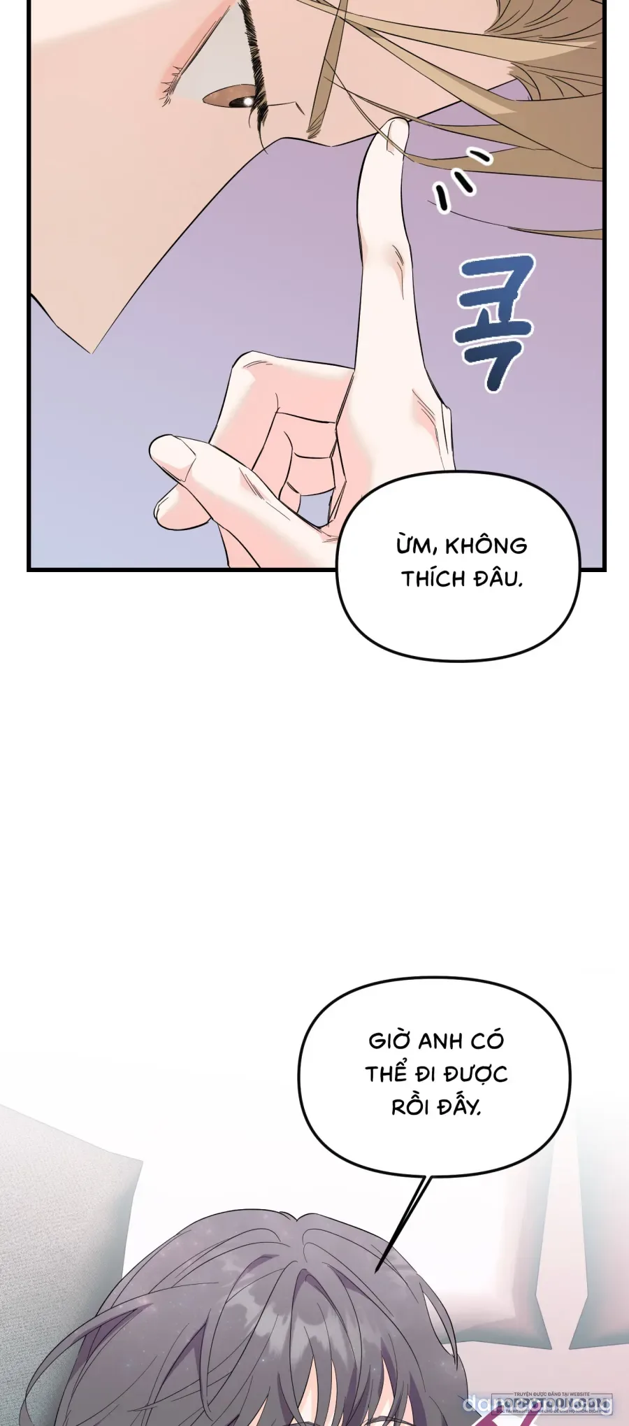 Tình Một Đêm 