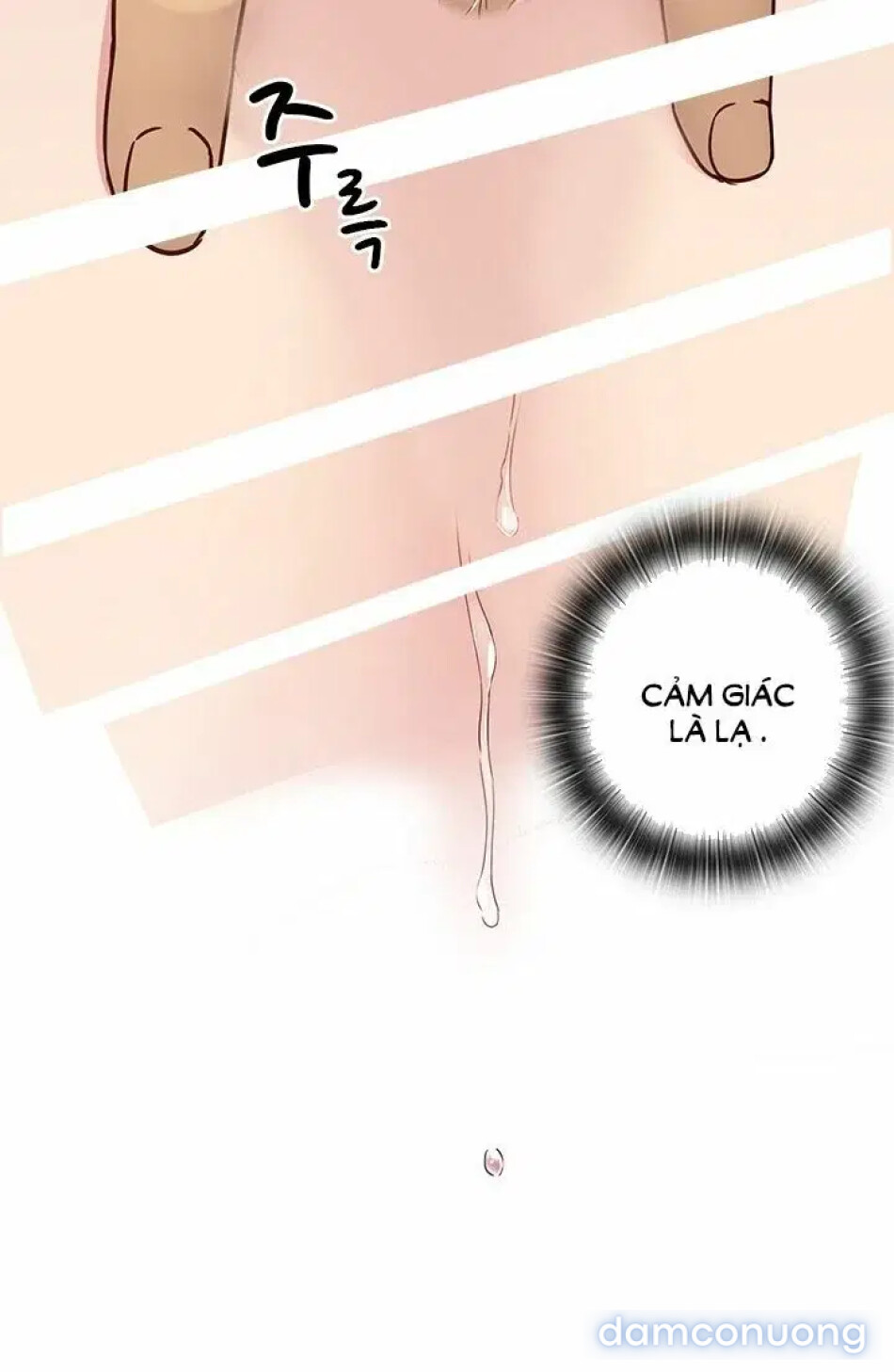 học viện đóng phim khiêu dâm 