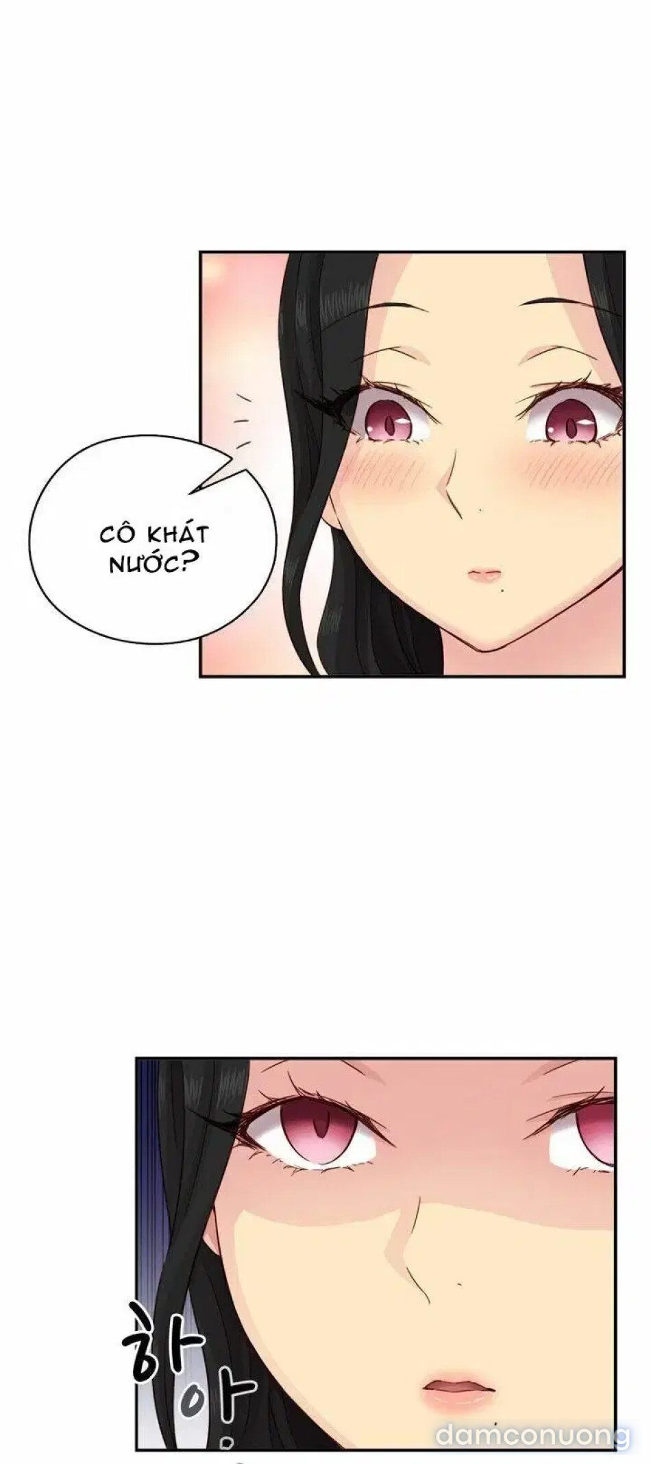 học viện đóng phim khiêu dâm 