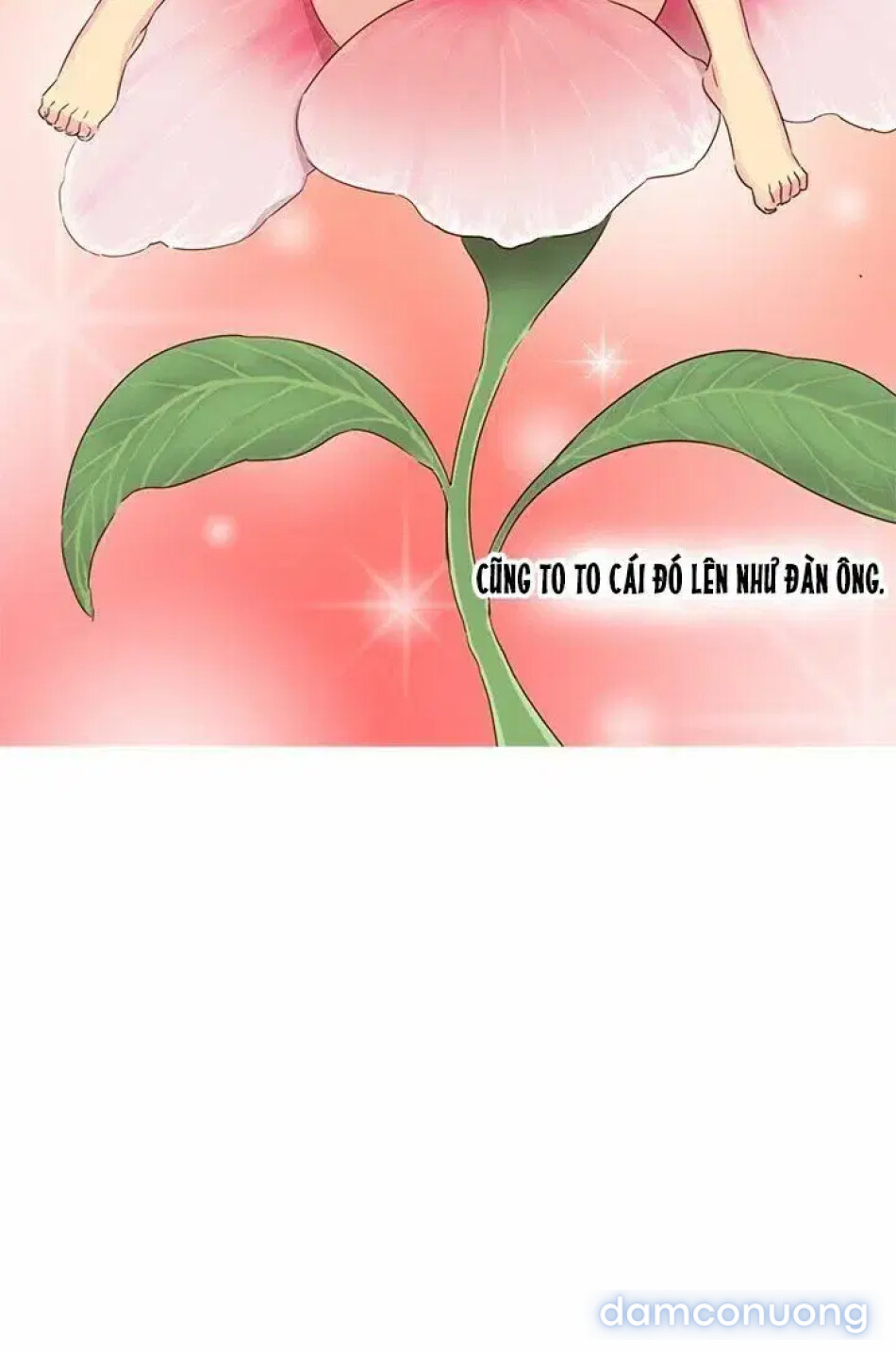 học viện đóng phim khiêu dâm 