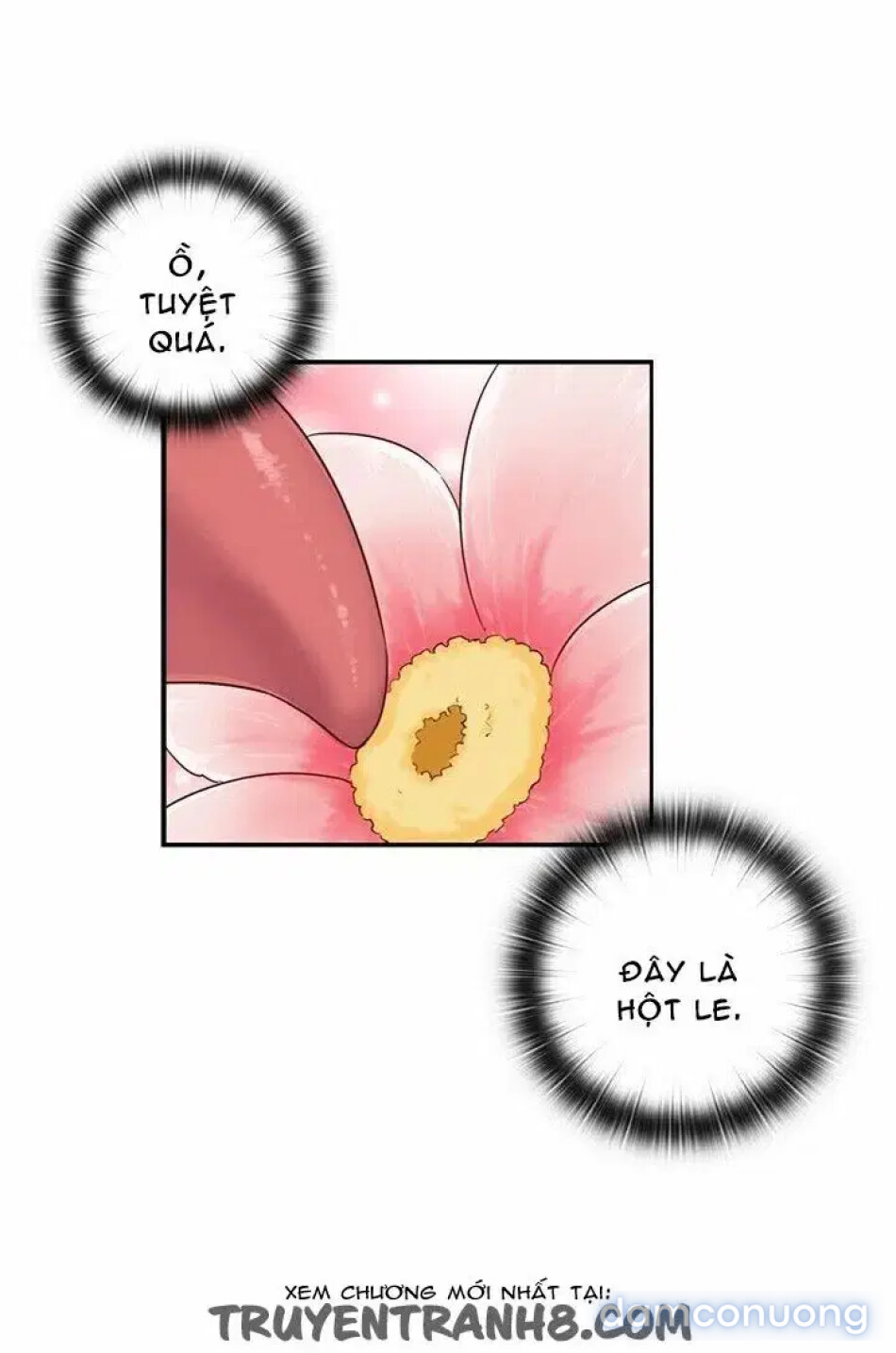 học viện đóng phim khiêu dâm 