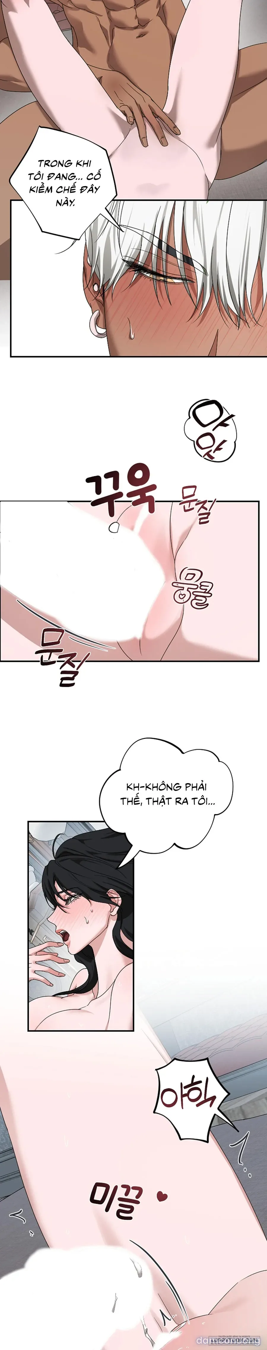 Màn Đêm Thức Tỉnh 