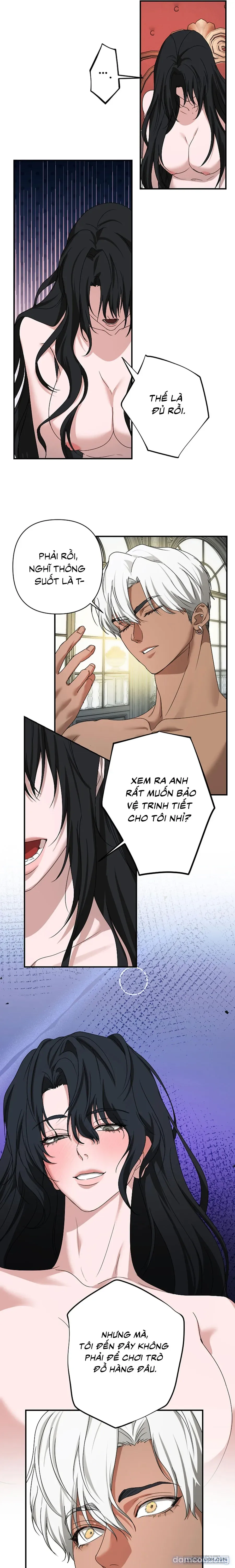 Màn Đêm Thức Tỉnh 