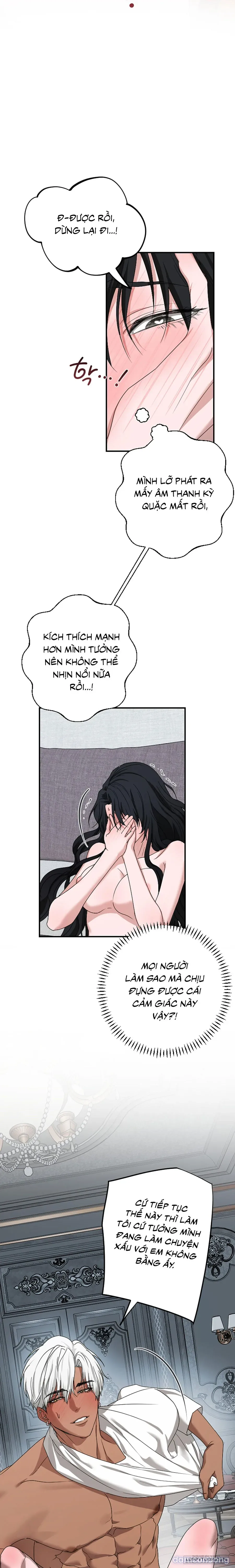 Màn Đêm Thức Tỉnh 