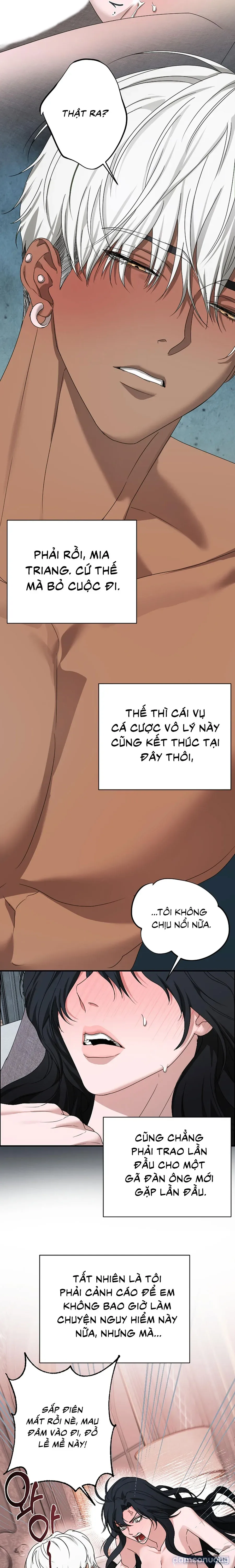 Màn Đêm Thức Tỉnh 