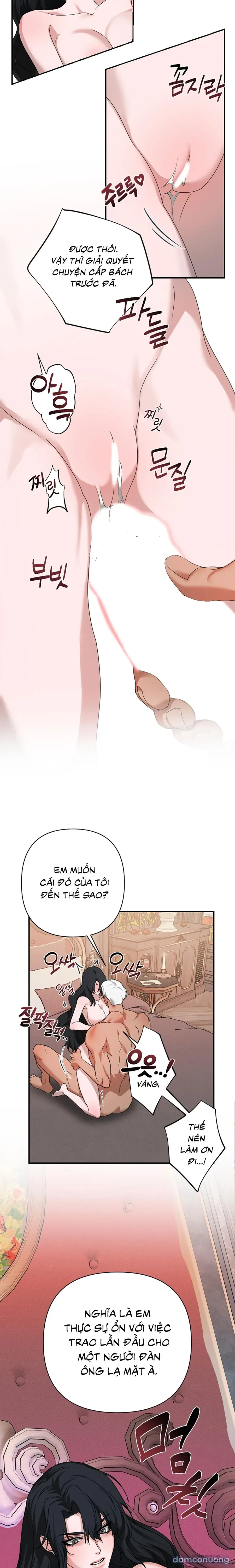 Màn Đêm Thức Tỉnh 