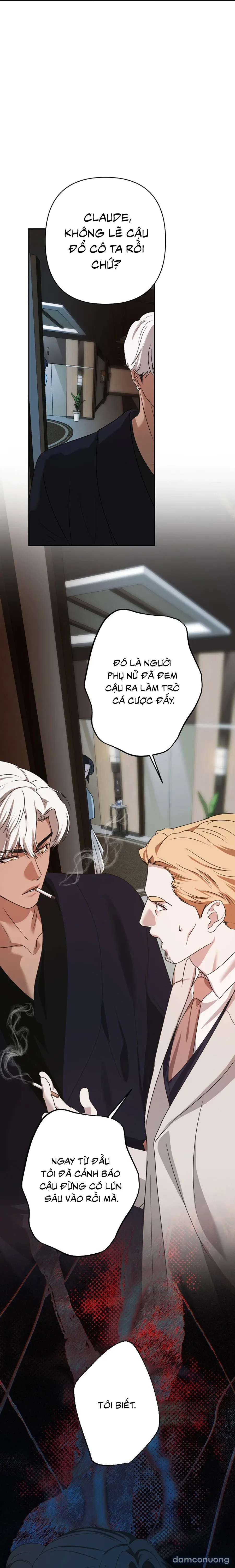 Màn Đêm Thức Tỉnh 