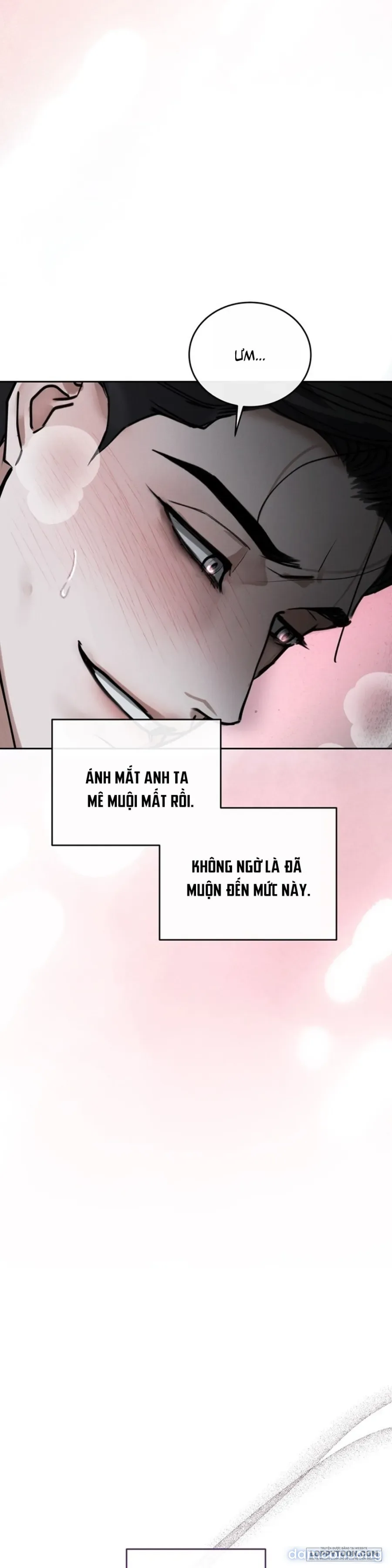 Trên Đời Này Không Có Quân Khuyển Nào Là Tồi Cả 