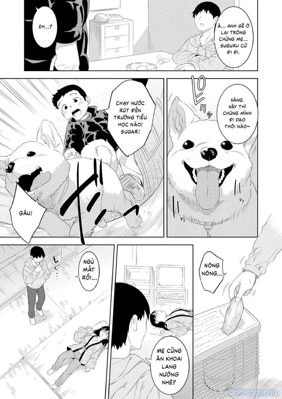 Yoi no Bosei 
