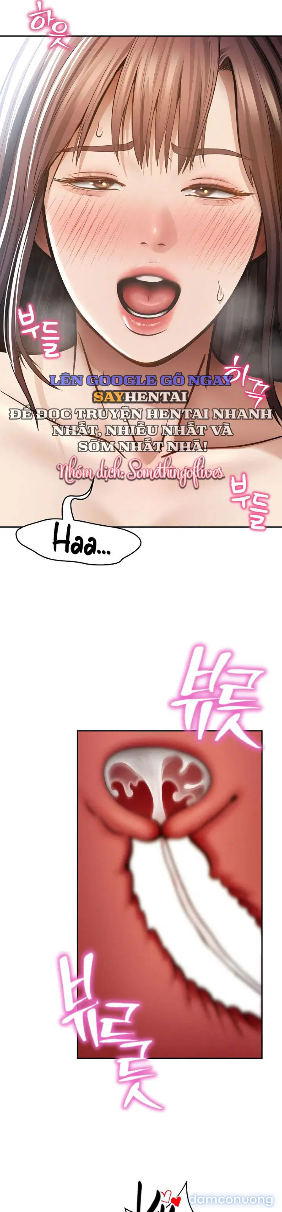 Tôi Có Thể Nhìn Thấy Những Dục Vọng 