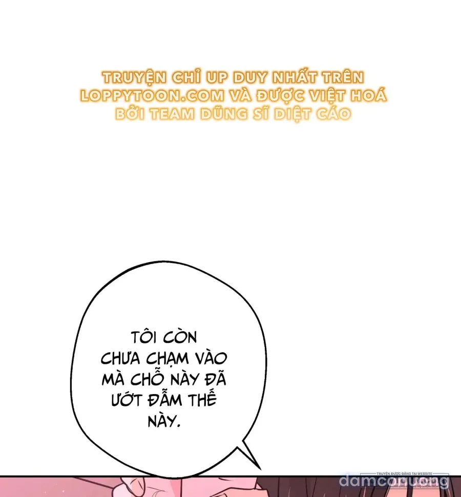 [19+] Tôi Chỉ Thích Mỹ Nam! 