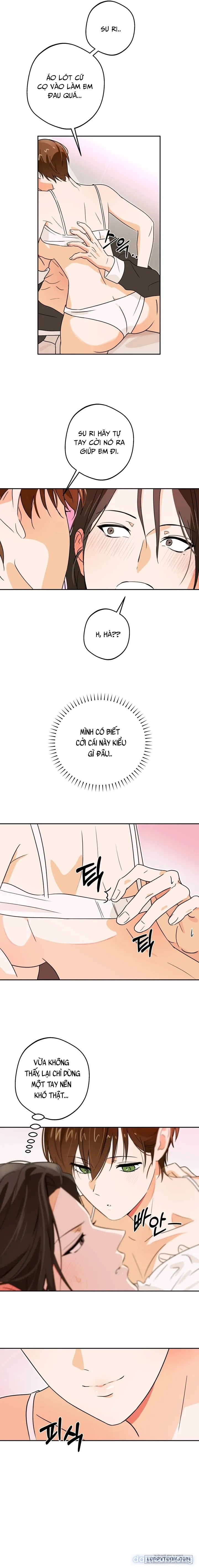[19+] Tôi Chỉ Thích Mỹ Nam! 