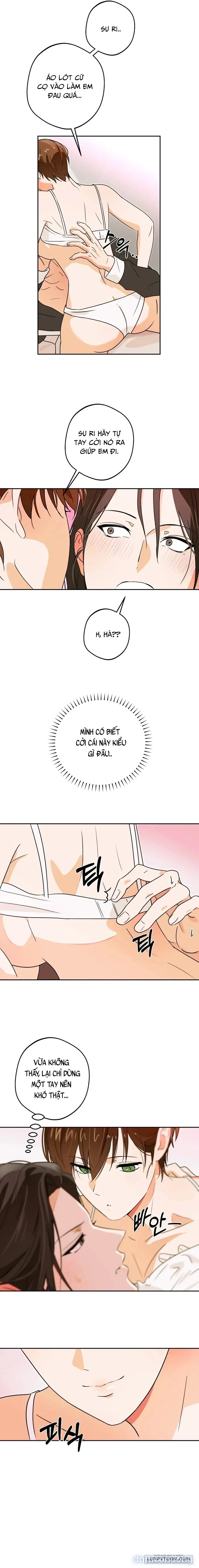 [19+] Tôi Chỉ Thích Mỹ Nam! 