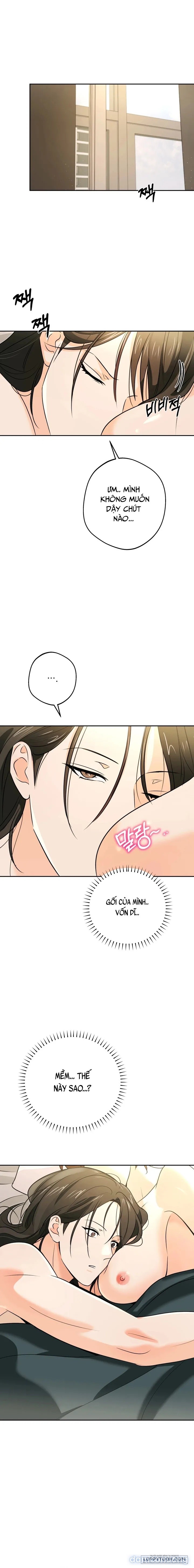 [19+] Tôi Chỉ Thích Mỹ Nam! 