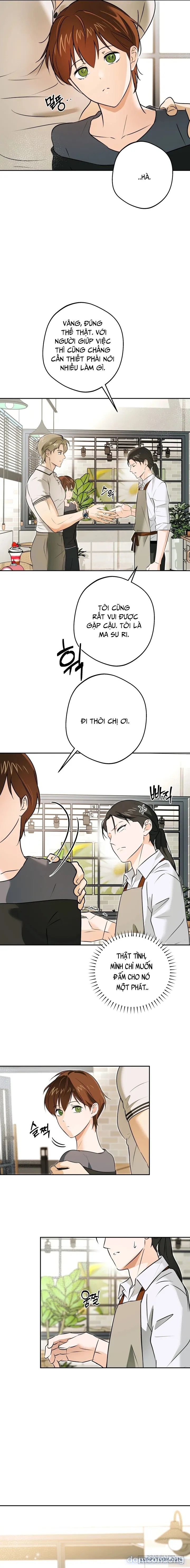 [19+] Tôi Chỉ Thích Mỹ Nam! 
