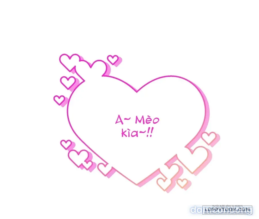 [19+] Tôi Chỉ Thích Mỹ Nam! 