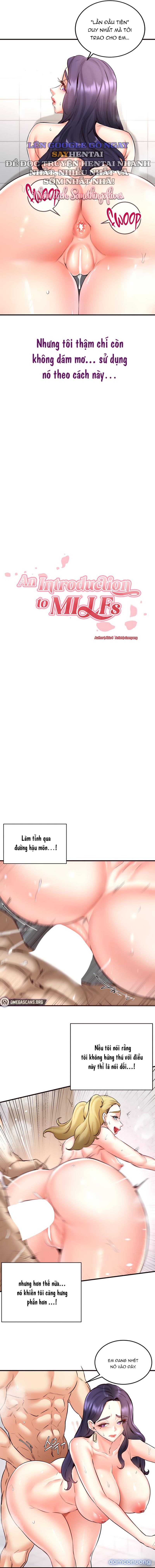 Chào Mừng Đến Với Văn Hóa MILF 