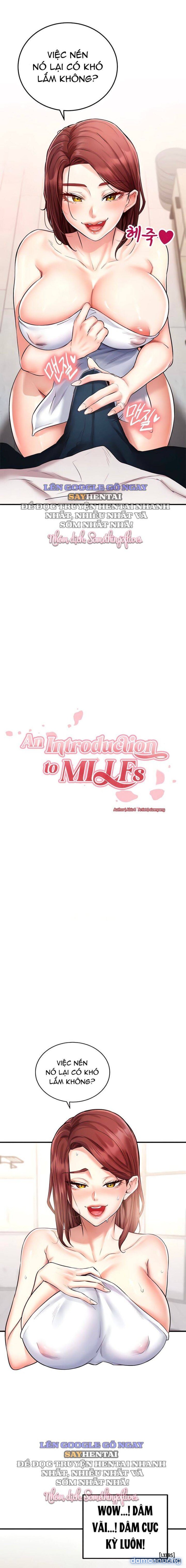 An Introduction to MILFs 
