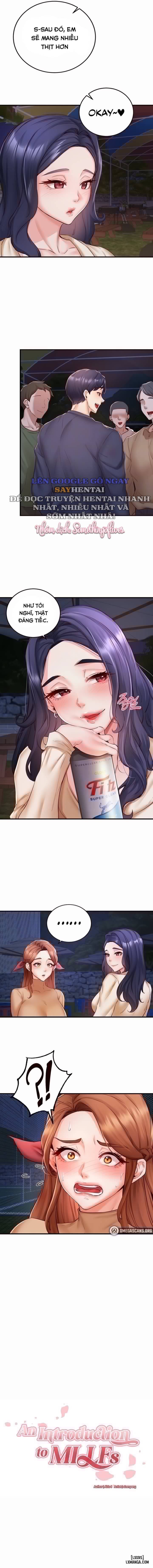 An Introduction to MILFs 