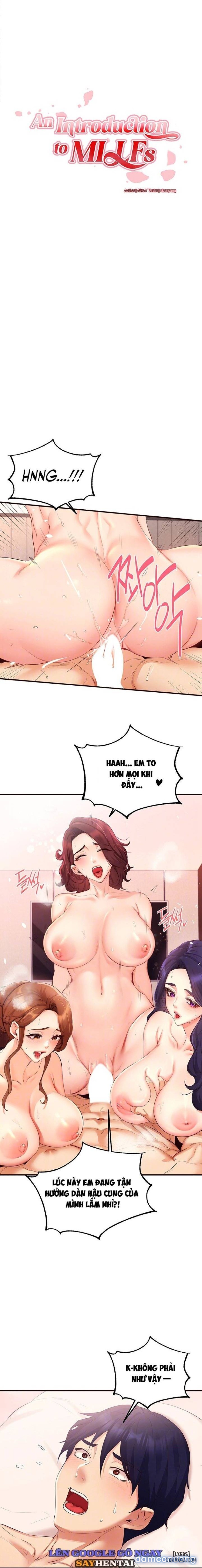 An Introduction to MILFs 