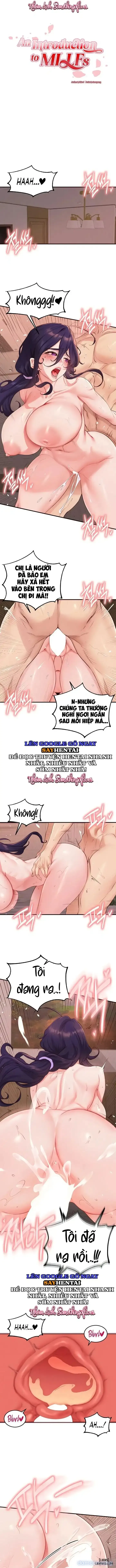 An Introduction to MILFs 