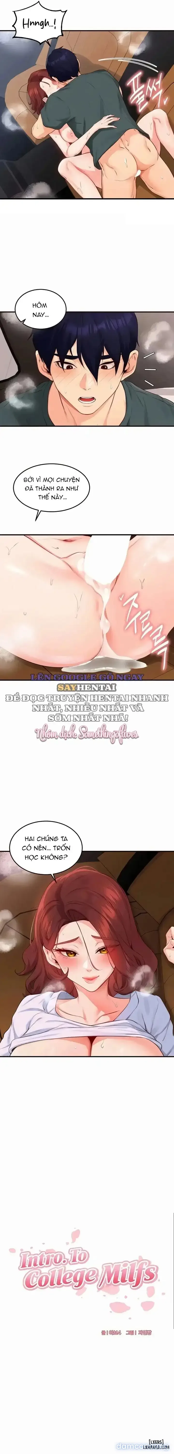 An Introduction to MILFs 