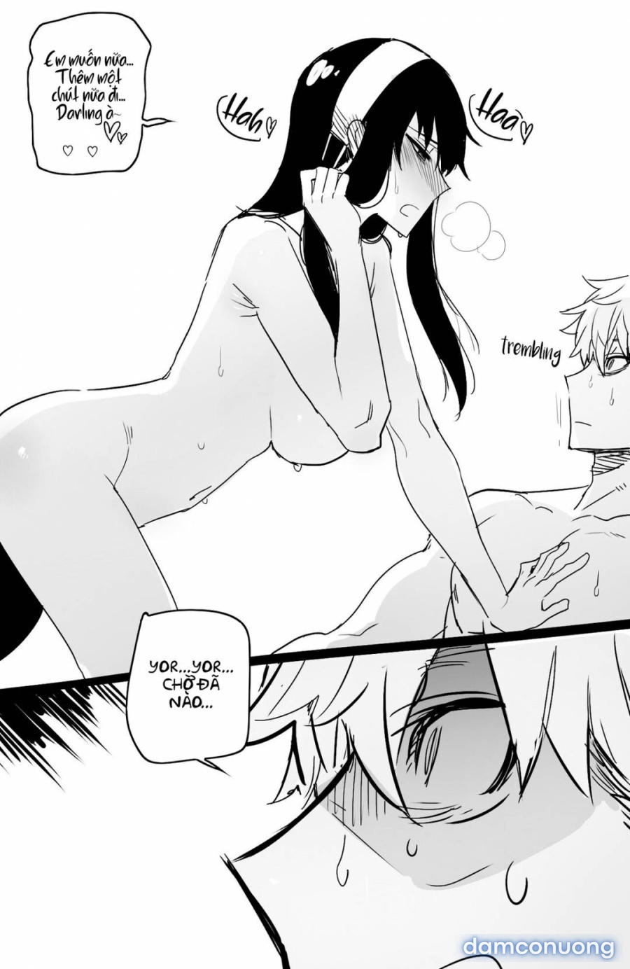 Spy x Sex 