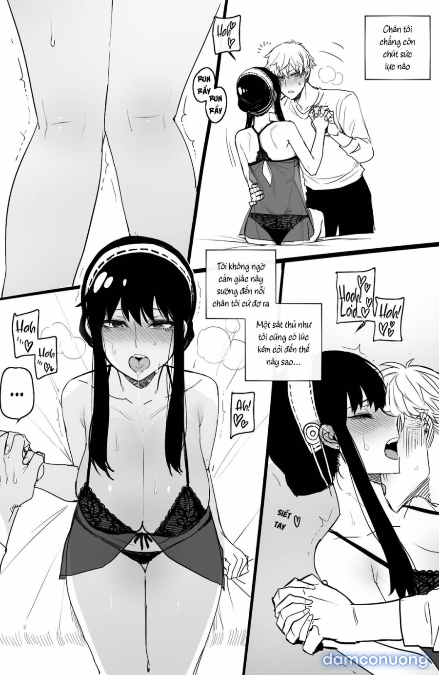 Spy x Sex 