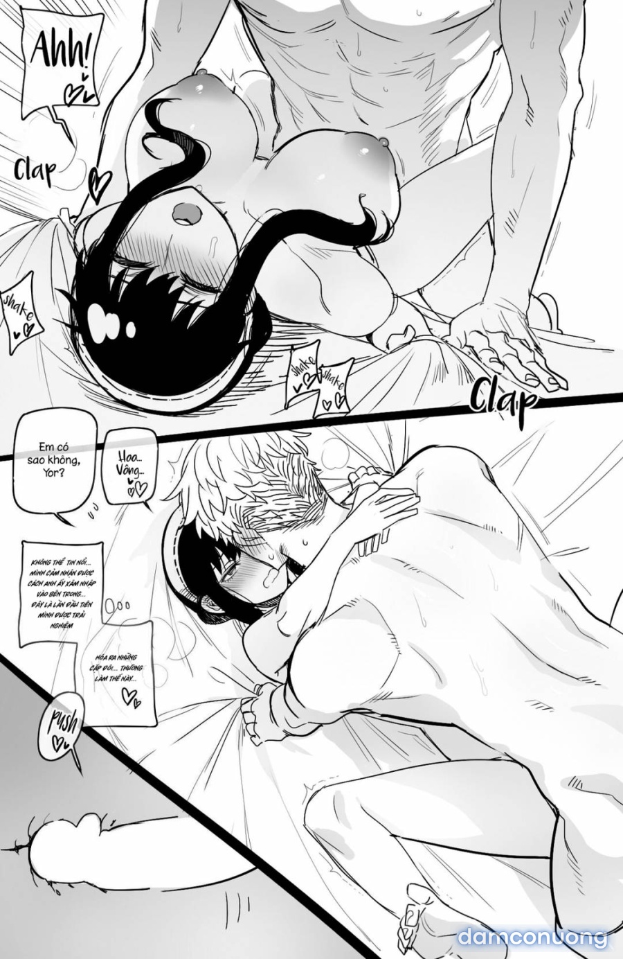 Spy x Sex 