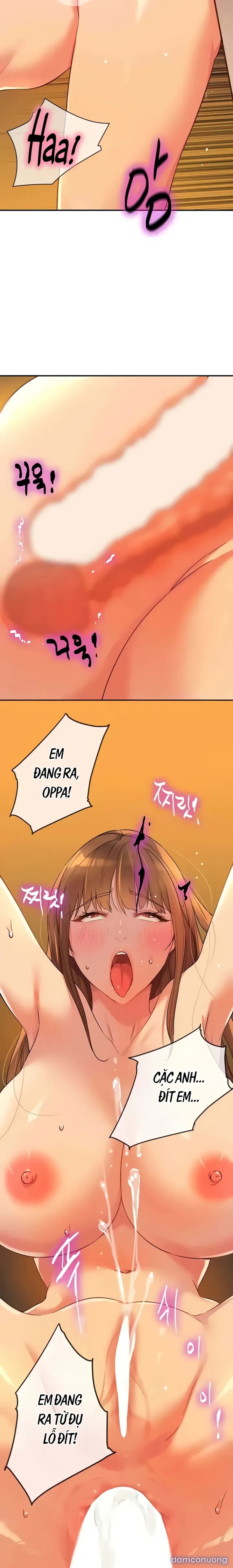 Lỗ đã mở 