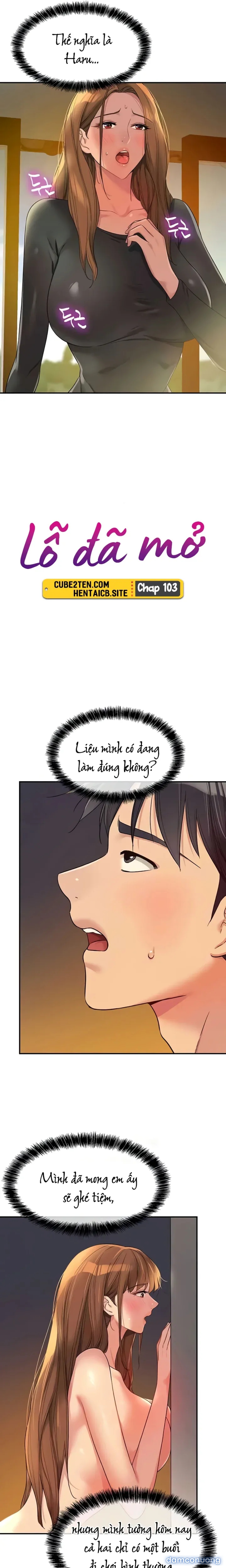 Lỗ đã mở 