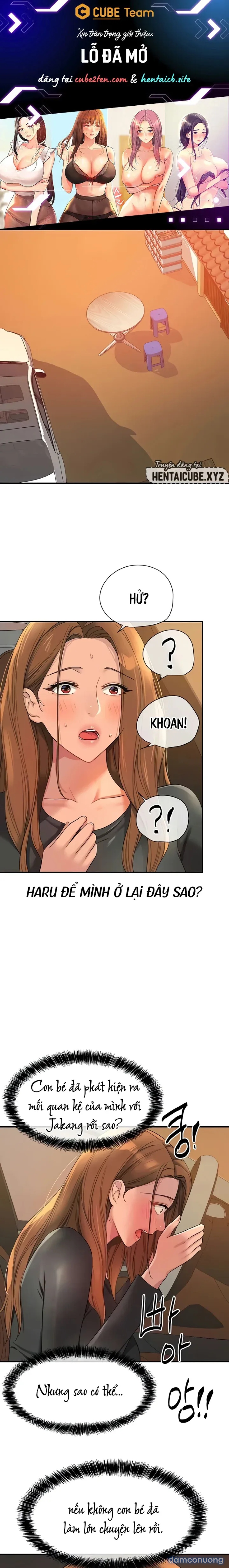 Lỗ đã mở 