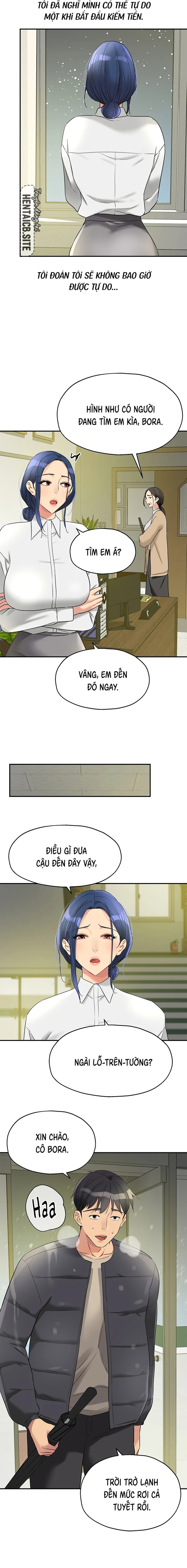 Lỗ đã mở 