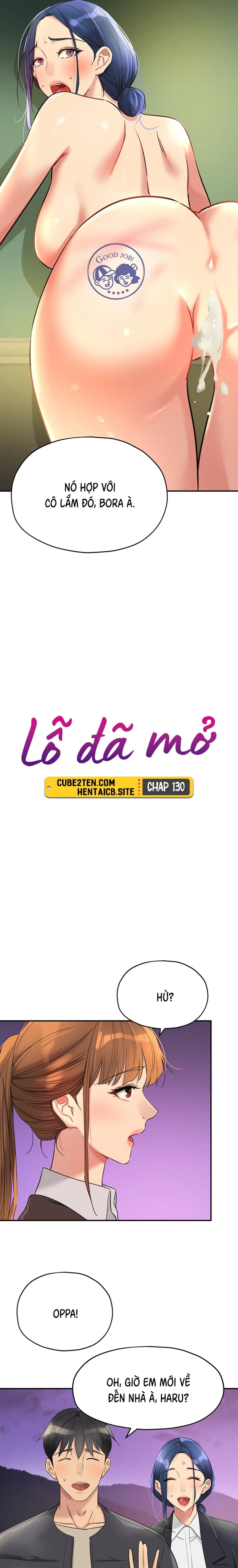 Lỗ đã mở 