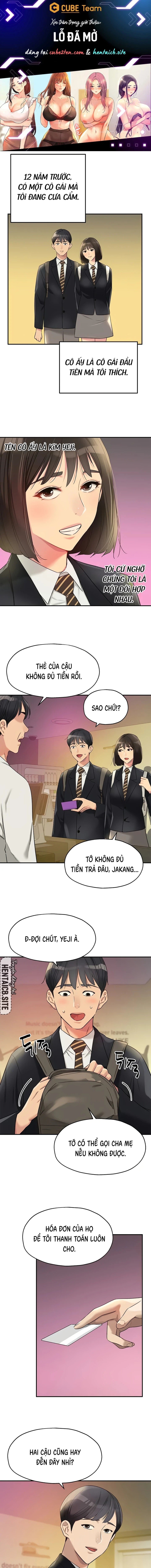 Lỗ đã mở 