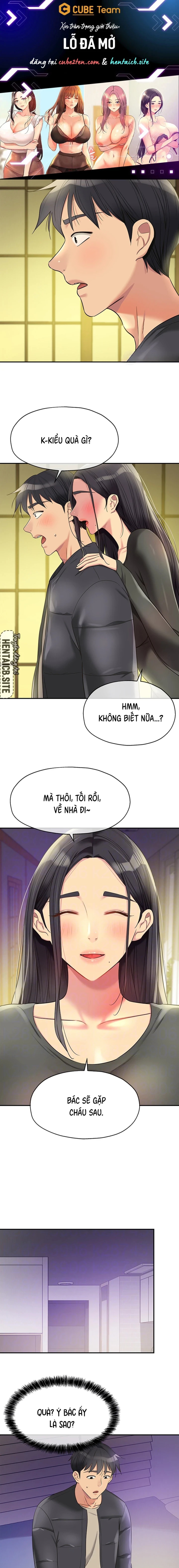 Lỗ đã mở 