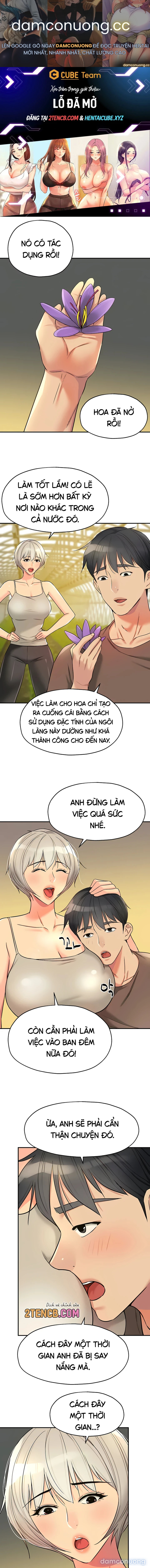 Lỗ đã mở 