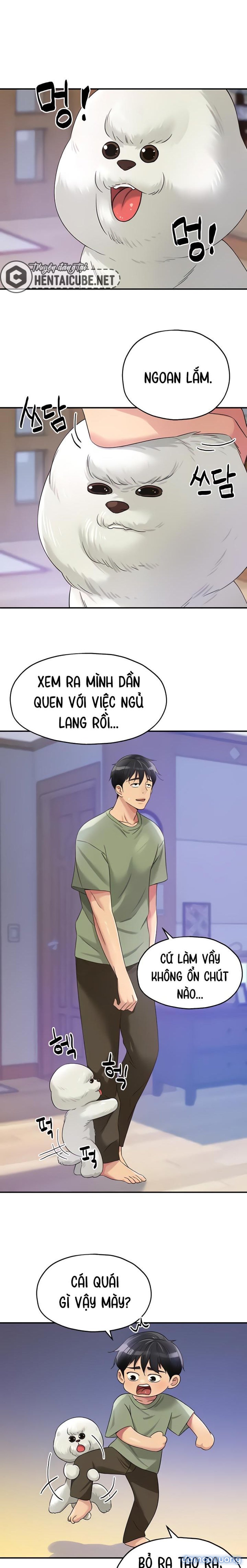 Lỗ đã mở 