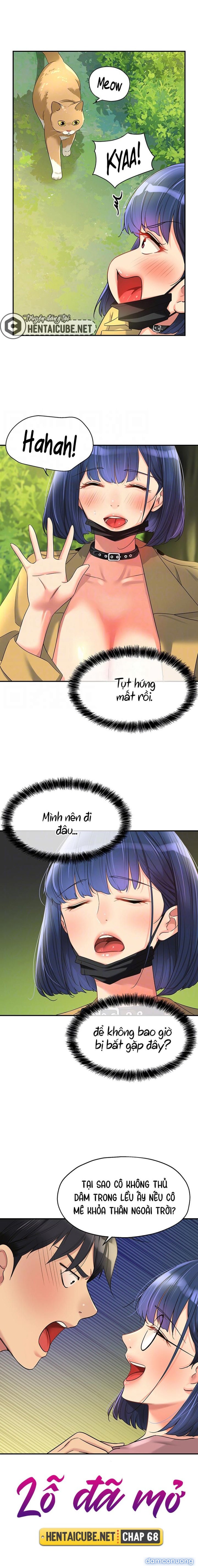 Lỗ đã mở 