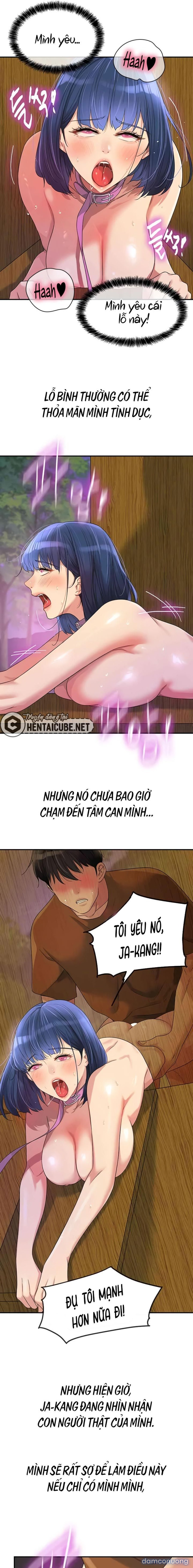 Lỗ đã mở 