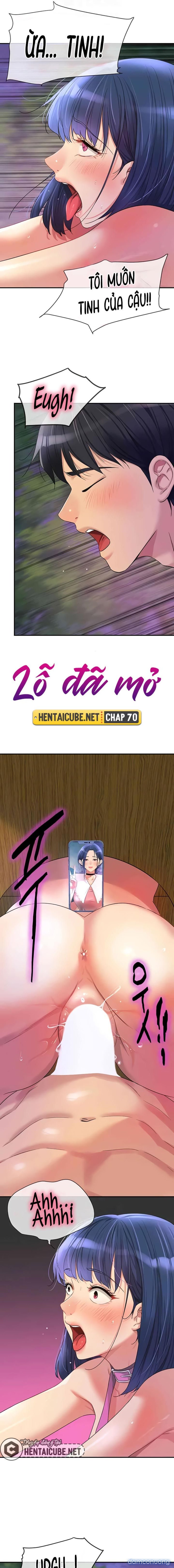 Lỗ đã mở 