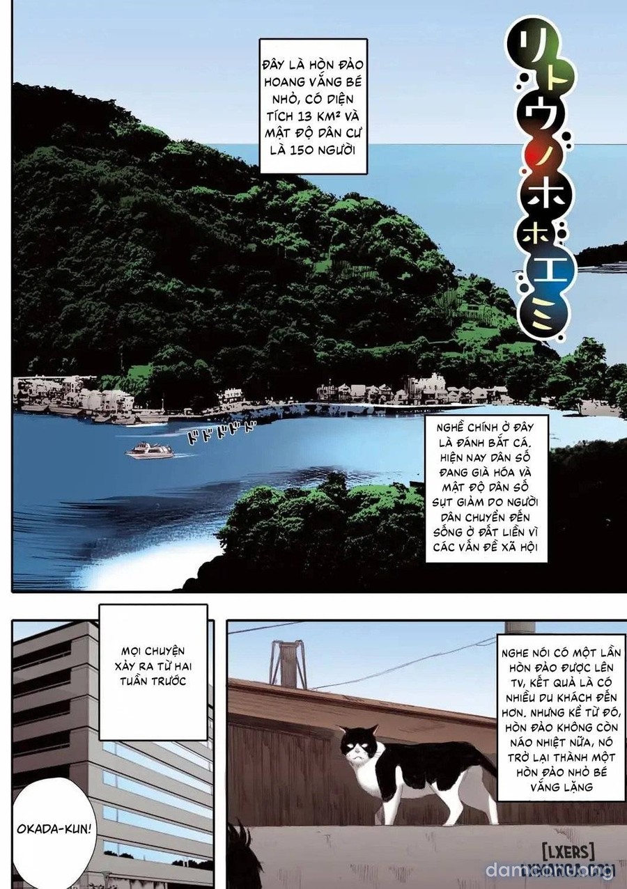 Hòn đảo vui vẻ 