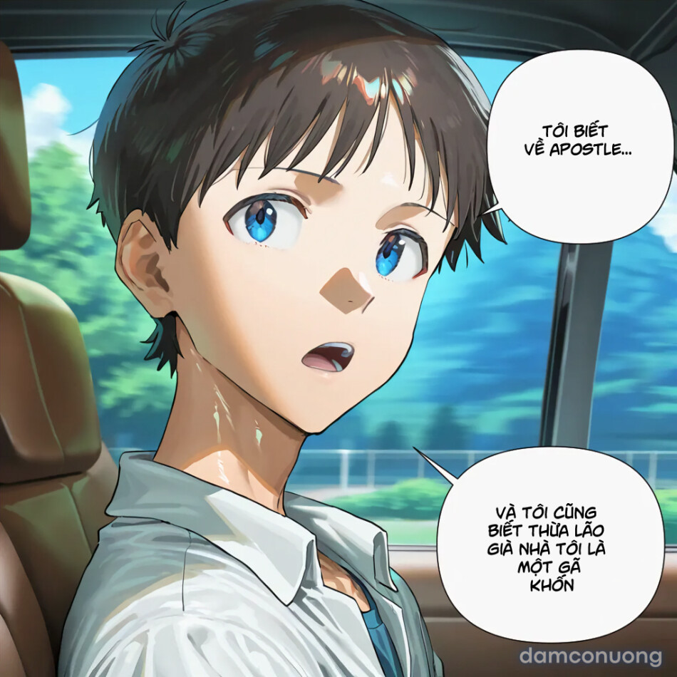 Kế hoạch hậu cung của ikari shinji 