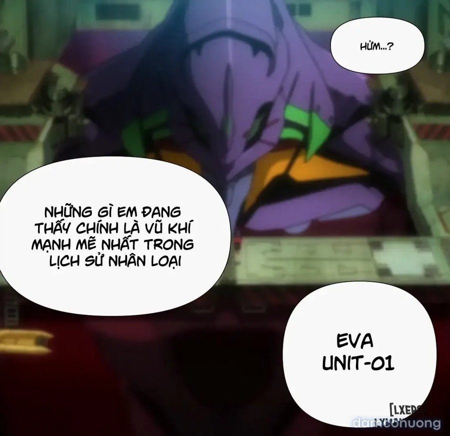 Kế hoạch hậu cung của ikari shinji 